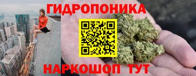 сатива Братск