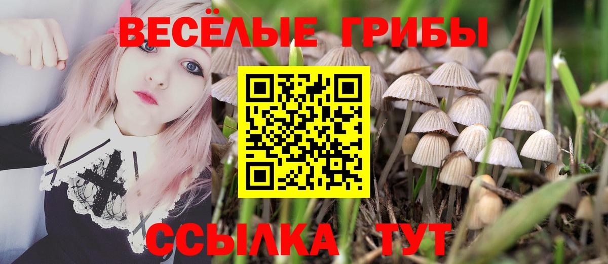 Псилоцибиновые грибы мицелий  Вход с VPN  Черкесск 