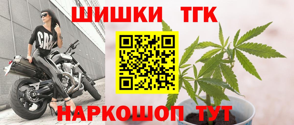 Псилоцибиновые грибы Черкесск